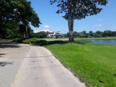 Daily Golf Experience