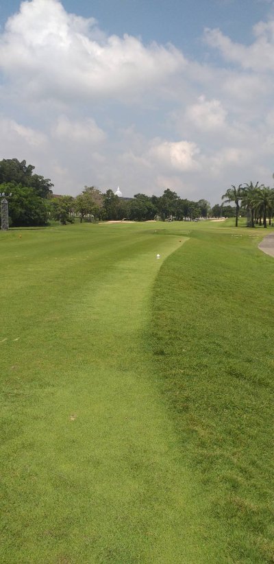Daily Golf Experience