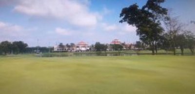 Daily Golf Experience