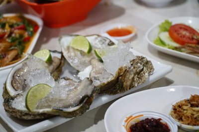 Southern Part Package Sightseeing Tour
