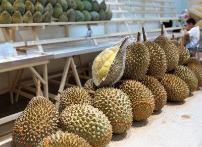 Eastern Part Package Sightseeing Tour