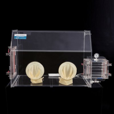 Glove Box