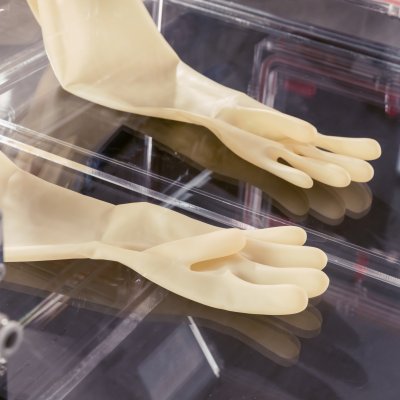 Glove Box