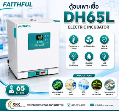 Incubator DH65L