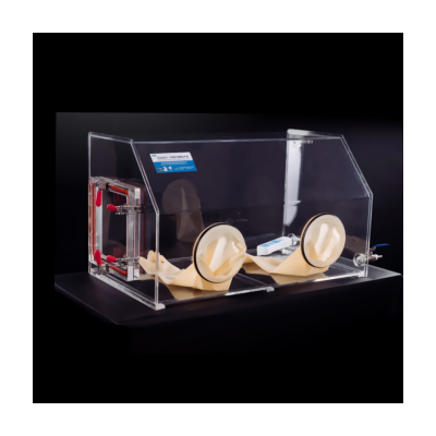 Glove Box
