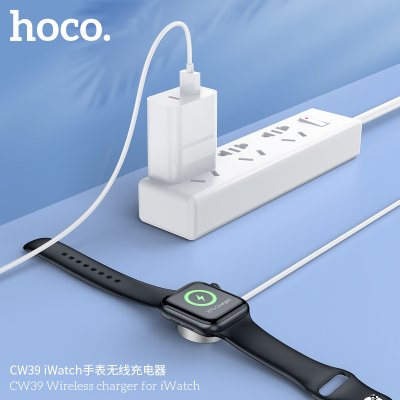 HOCO charger set CW39