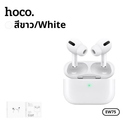 HOCO Bluetooth EW75