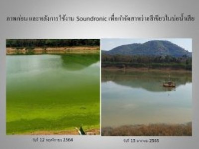 soundronic-algae