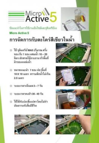 MicroActive5