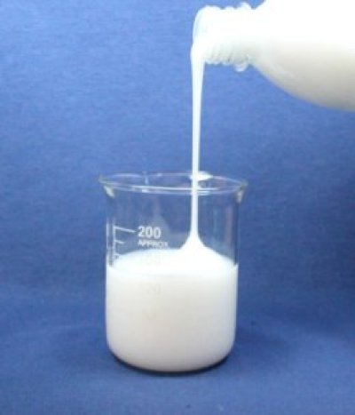 anti-defoamer anti-defoamer