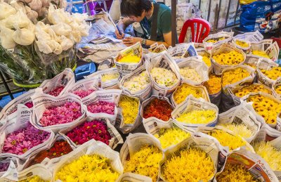 Bangkok Temples & City