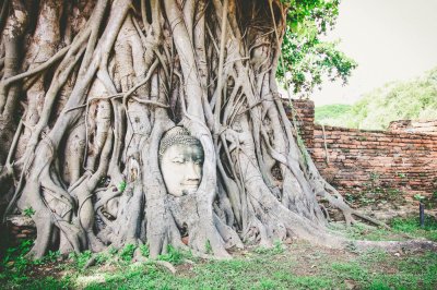 Ayutthaya World Heritage by Grand Pearl Cruise