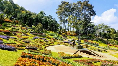 Doi Tung Royal Villa & Doi Mae Salong + Hill Tribe Village