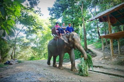 Elephant Care Center + Long Neck Tribe