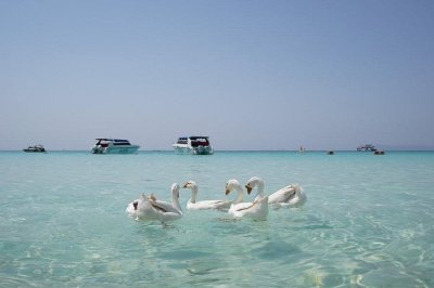 Nong Nooch Tropical Garden
