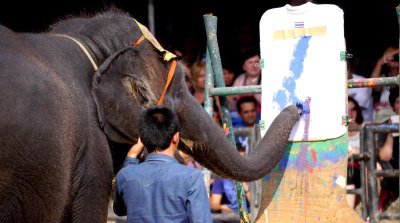 Nong Nooch Tropical Garden + Pattaya Beach (From Bangkok)