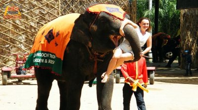 Nong Nooch Tropical Garden + Pattaya Beach (From Bangkok)