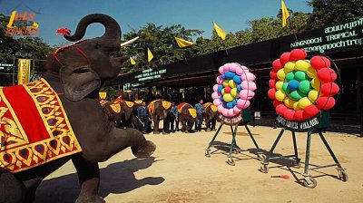 Nong Nooch Tropical Garden