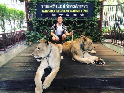 Damnoen Saduak Floating Market + Crocodile and Elephant show