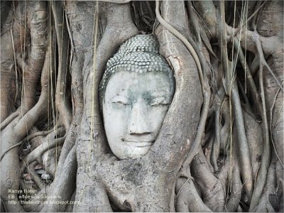 Ayutthaya & Bang Pa-In Summer Palace