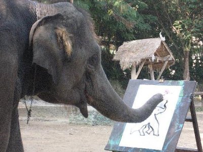 Elephant Safari & Bamboo Rafting