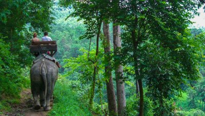 Elephant Safari & Bamboo Rafting