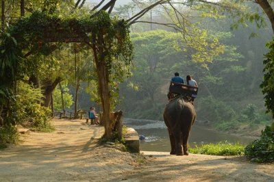 Elephant Safari & Bamboo Rafting