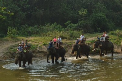 Elephant Safari & Bamboo Rafting