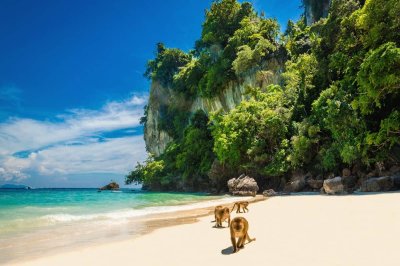 Phi Phi & Khai Islands F
