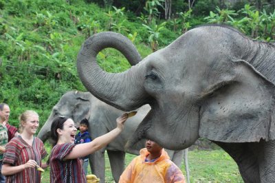 One day Chiang Mai Package all highlights