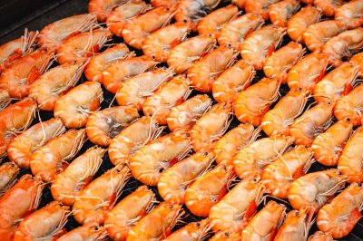 White Orchid River Cruise - Twilight