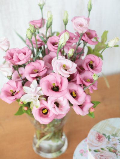 Lisianthus Solo Pink