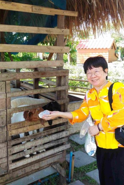 เที่ยวบ้านของพ่อ(อยุธยา) วันเสาร์ที่ 24 พ.ย. 61