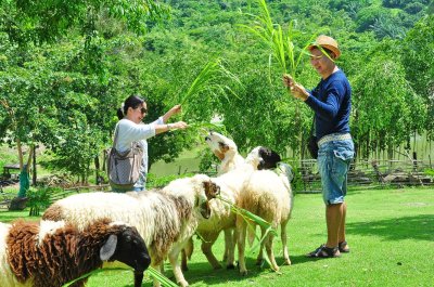 ทัวร์สวนละไม-อ่างศิลา 2561