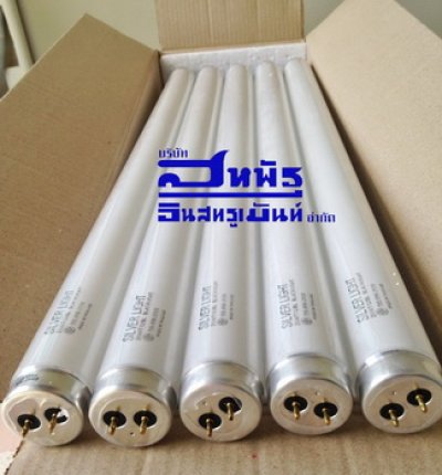 หลอดไฟล่อแมลง 20W SILVER LIGHT