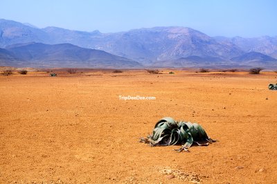 ทัวร์แองโกลา 10 วัน 9 คืน