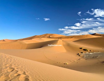 ทัวร์แองโกลา 10 วัน 9 คืน