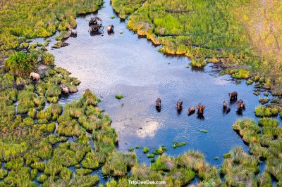 Botswana Tour