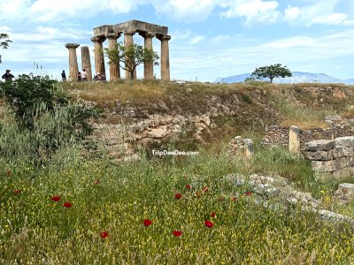 ทัวร์กรีซ เอเธนส์ มิโคนอส ซานโตรีนี 11 วัน 8 คืน