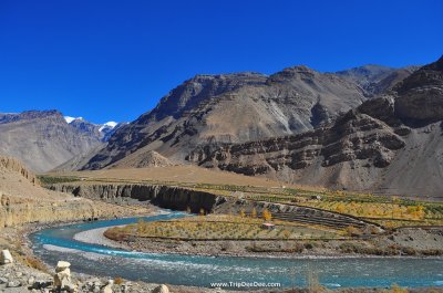 ทัวร์สปิติวัลเล่ย์ อินเดีย 11 วัน 9 คืน