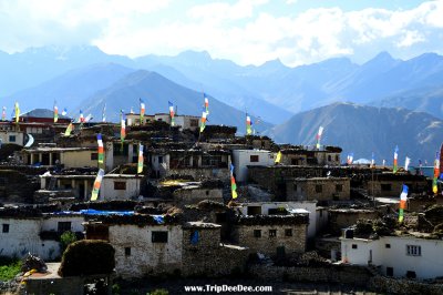 ทัวร์สปิติวัลเล่ย์ อินเดีย 11 วัน 9 คืน