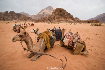 ทัวร์จอร์แดน 8 วัน 5 คืน 2569