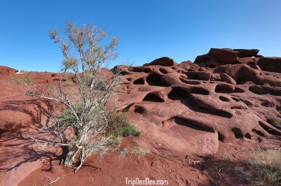 ทัวร์คาซัคสถาน 8 วัน 6 คืน เมษายน 2569