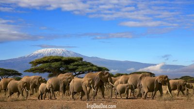 ทัวร์เคนย่า 9 วัน 7 คืน