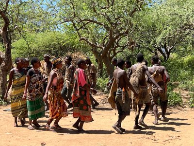 ทัวร์แทนซาเนีย Migration ช่วง ก.พ. มี.ค. 2569