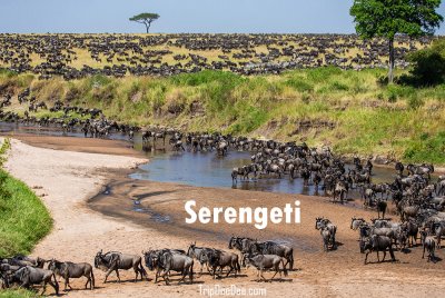 ทัวร์แอฟริกาตะวันออก แทนซาเนีย เคนย่า ยูกันดา รวันดา 2569