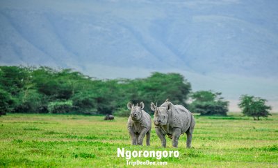 ทัวร์แอฟริกาตะวันออก แทนซาเนีย เคนย่า ยูกันดา รวันดา 2569