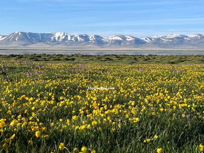 ทัวร์ทาจิกิสถาน ปามีร์ ไฮเวย์ คีร์กีซสถาน 2569