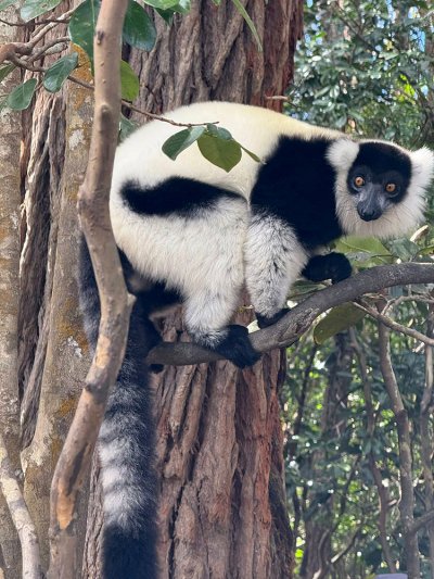 ทัวร์มาดากัสการ์ 12 วัน 9 คืน