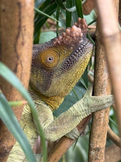 ทัวร์มาดากัสการ์ 12 วัน 9 คืน